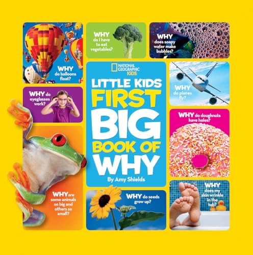 Cover of First big book of why