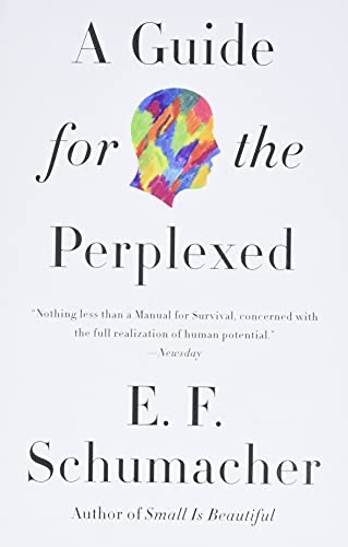 Cover of Guide for the Perplexed