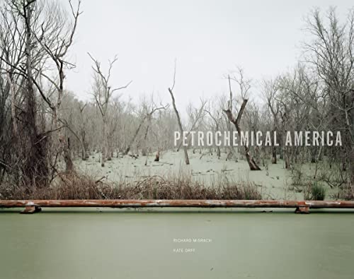 Cover of Petrochemical America