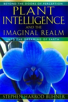 Cover of Plan Intelligence in the Imaginal Realm