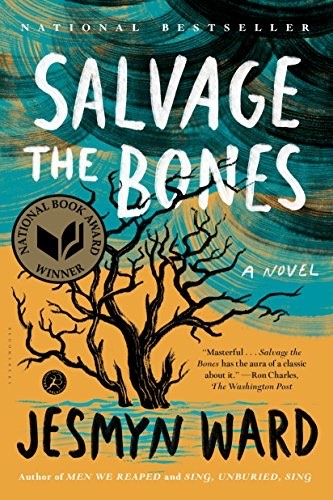 Cover of Salvage the Bones