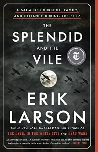 Cover of The Splendid and the Vile