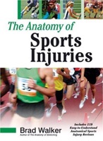 Cover of The Anatomy of Sports Injuries