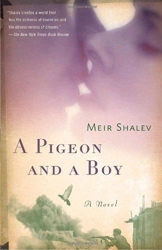 Cover of A Pigeon and a Boy