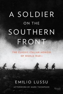 Cover of A Soldier on the Southern Front