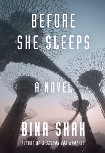 Cover of Before She Sleeps