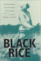 Cover of Black rice