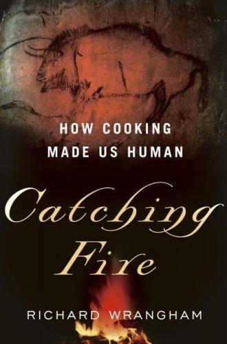 Cover of Catching Fire