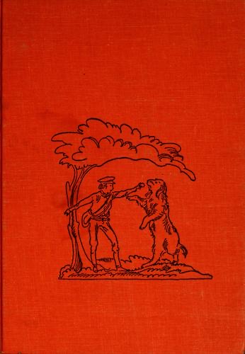 Cover of The Brave Adventures of Lapitch