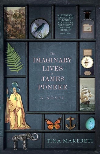 Cover of The Imaginary Lives of James Pōneke