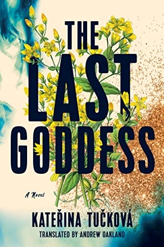 Cover of The Žítková Goddesses