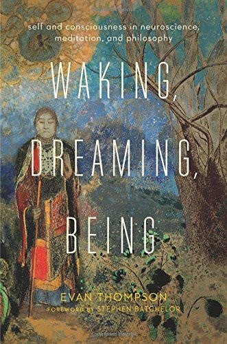 Cover of Waking, Dreaming, Being