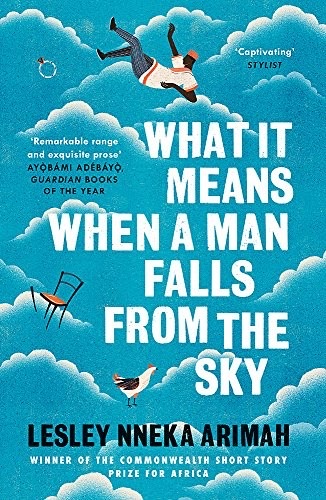Cover of What It Means When a Man Falls from the Sky